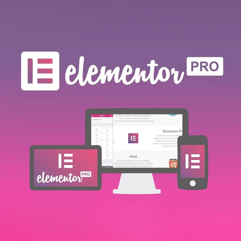 WP Elementor Pro 3.17.0插件