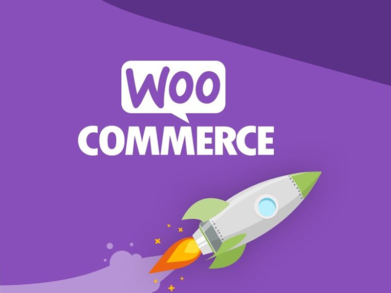 WordPress+Woocommerce电商独立站5个必装插件