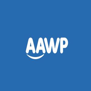 WP AAWP – Amazon Affiliate 3.30.11插件