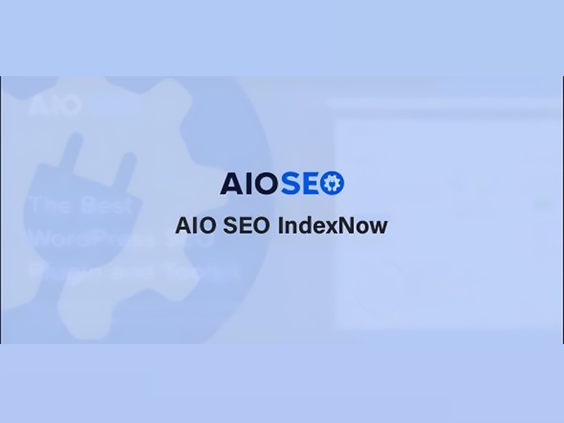 WP AIOSEO IndexNow插件[提升网站搜索引擎排名]