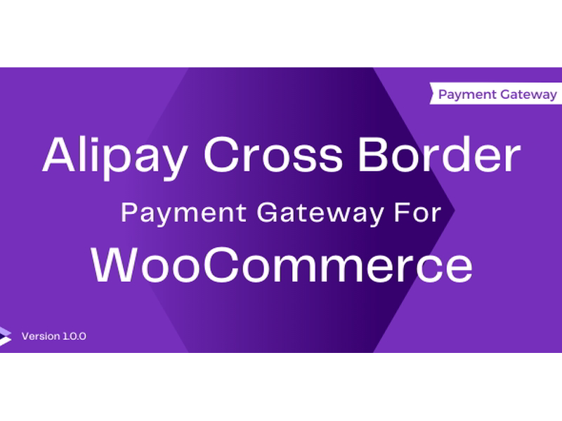 WP Payment Gateway插件[跨境支付]