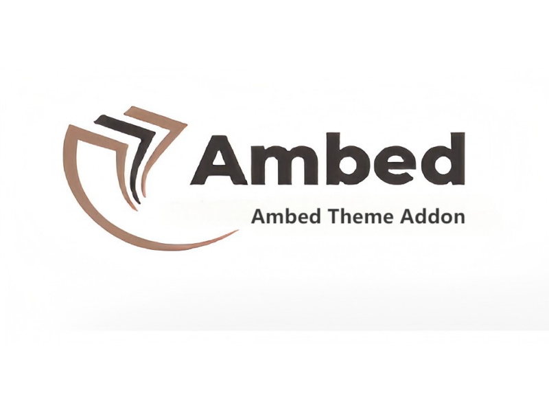 WP Ambed Theme Addon插件[网站优化]