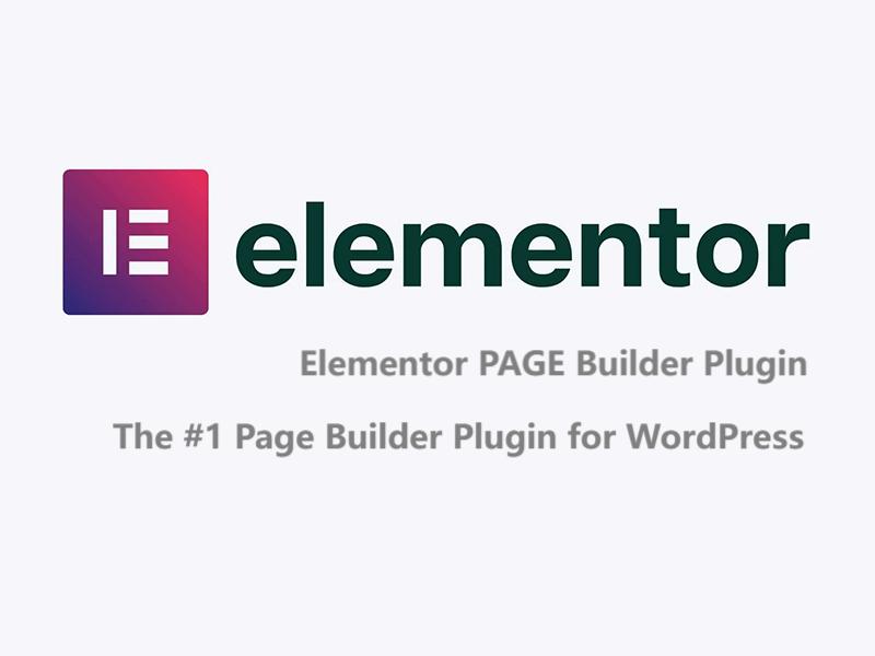 WP Elementor Pro [页面构建器]